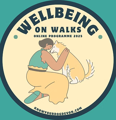 Wellbeing on Walks — Sally Lewis programme